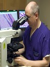David E. Klingman, DMD, MAGD, ABGD