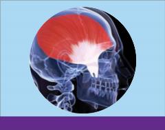 Hands-On CE Hands-On