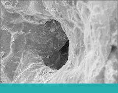 Journal_11.30.21 Journal_11.30.21