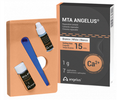 MTA Angelus MTA Angelus