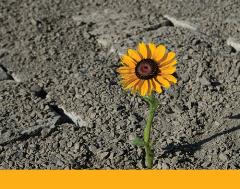 Wellness_11.23.21 Wellness_11.23.21