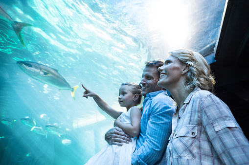 Aquarium Aquarium