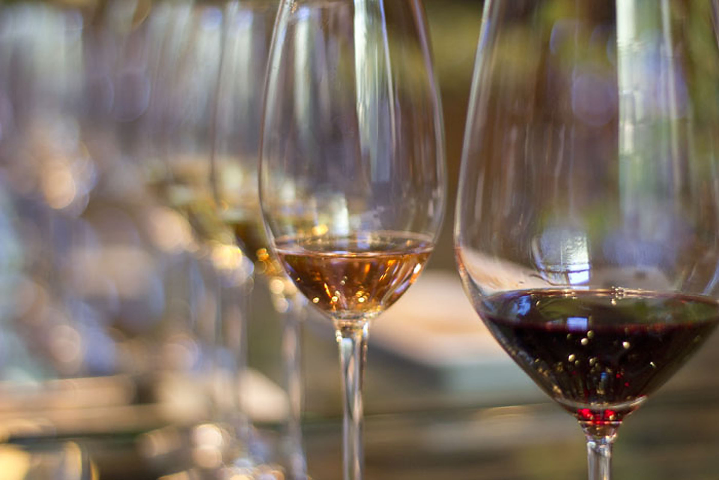Wine Wine